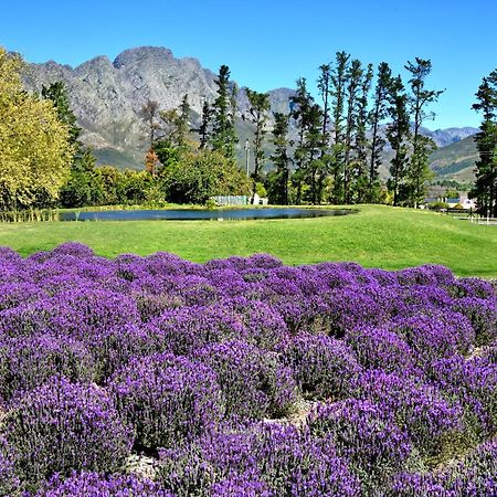 Lavender Farm Guest House Franschhoek Kültér fotó