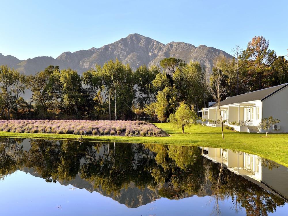 Lavender Farm Guest House Franschhoek Kültér fotó