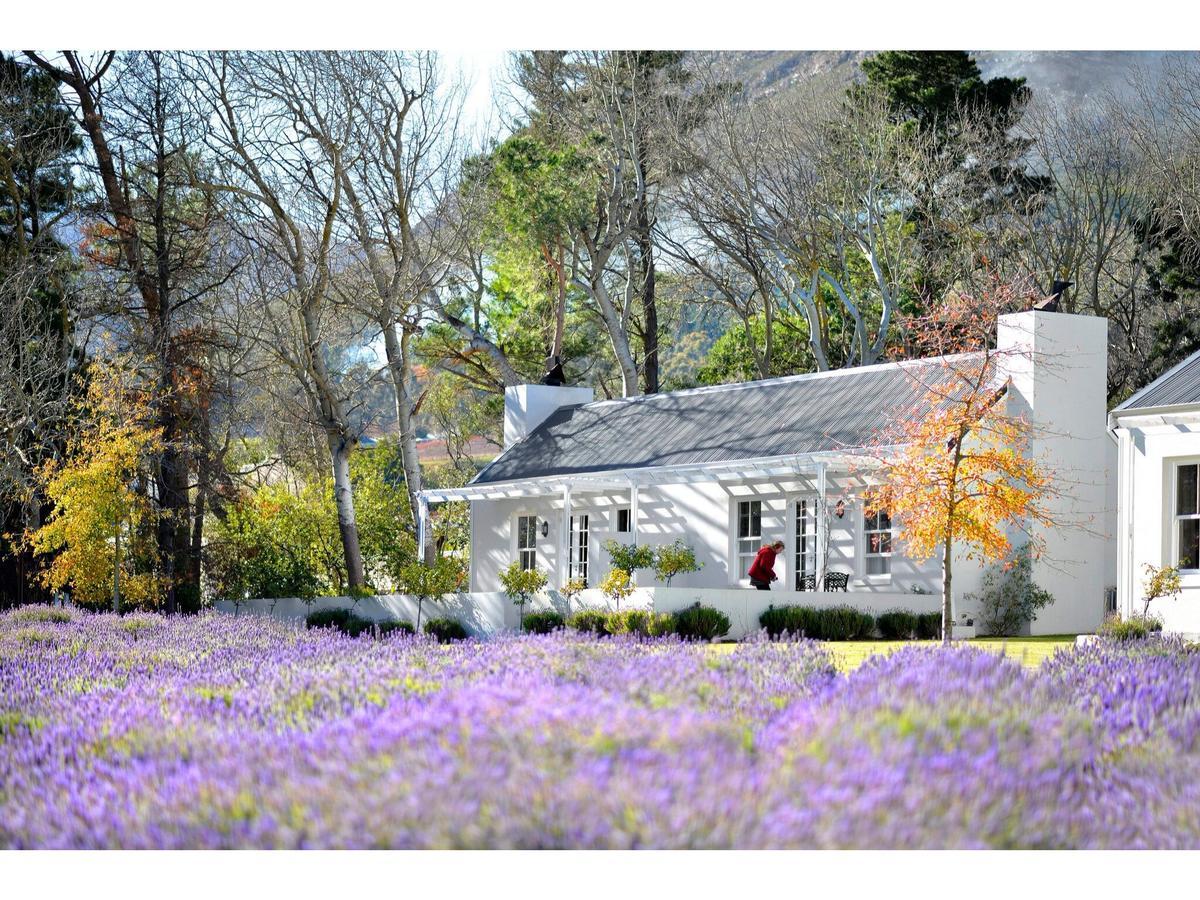 Lavender Farm Guest House Franschhoek Kültér fotó