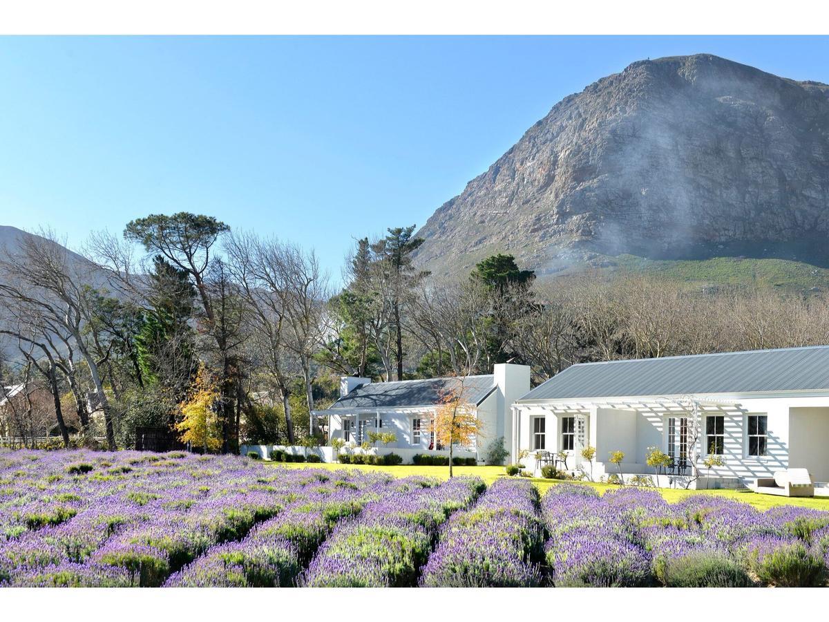 Lavender Farm Guest House Franschhoek Kültér fotó