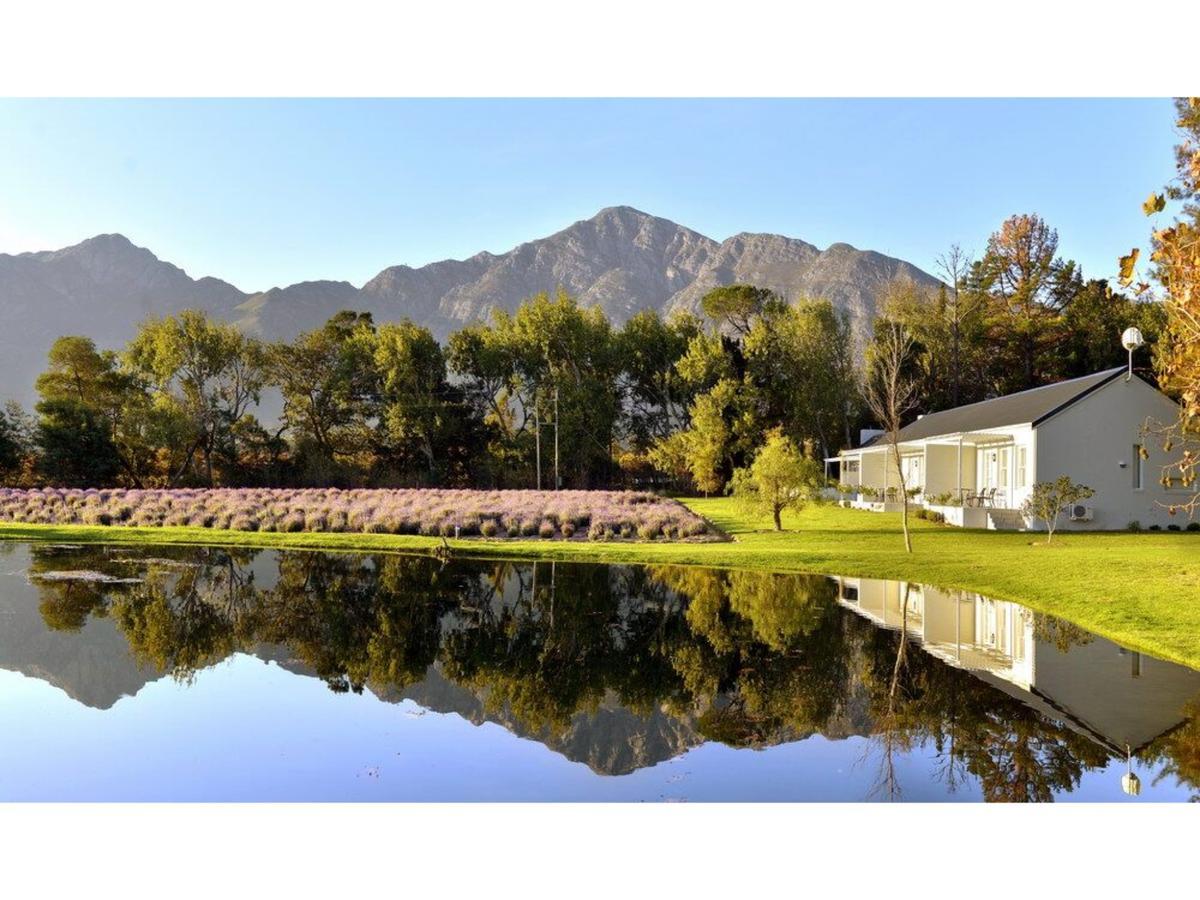 Lavender Farm Guest House Franschhoek Kültér fotó