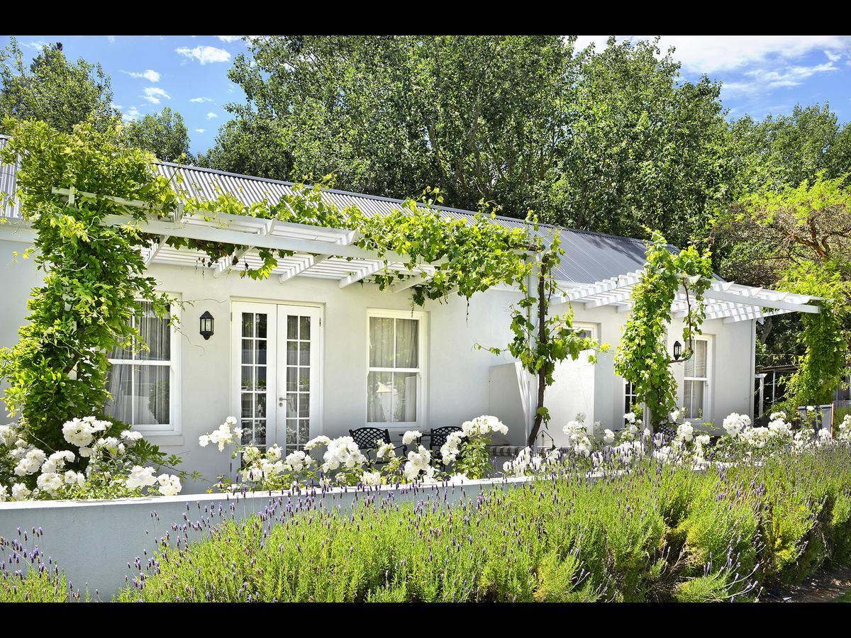 Lavender Farm Guest House Franschhoek Kültér fotó