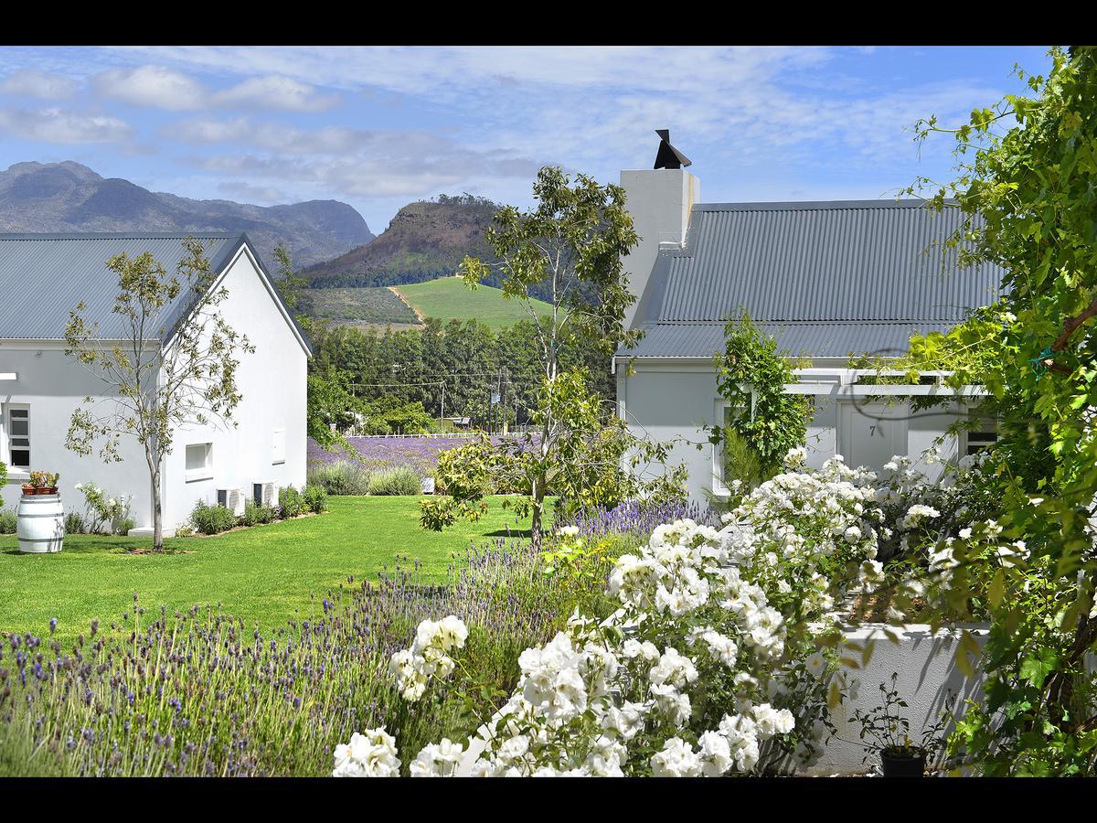 Lavender Farm Guest House Franschhoek Kültér fotó