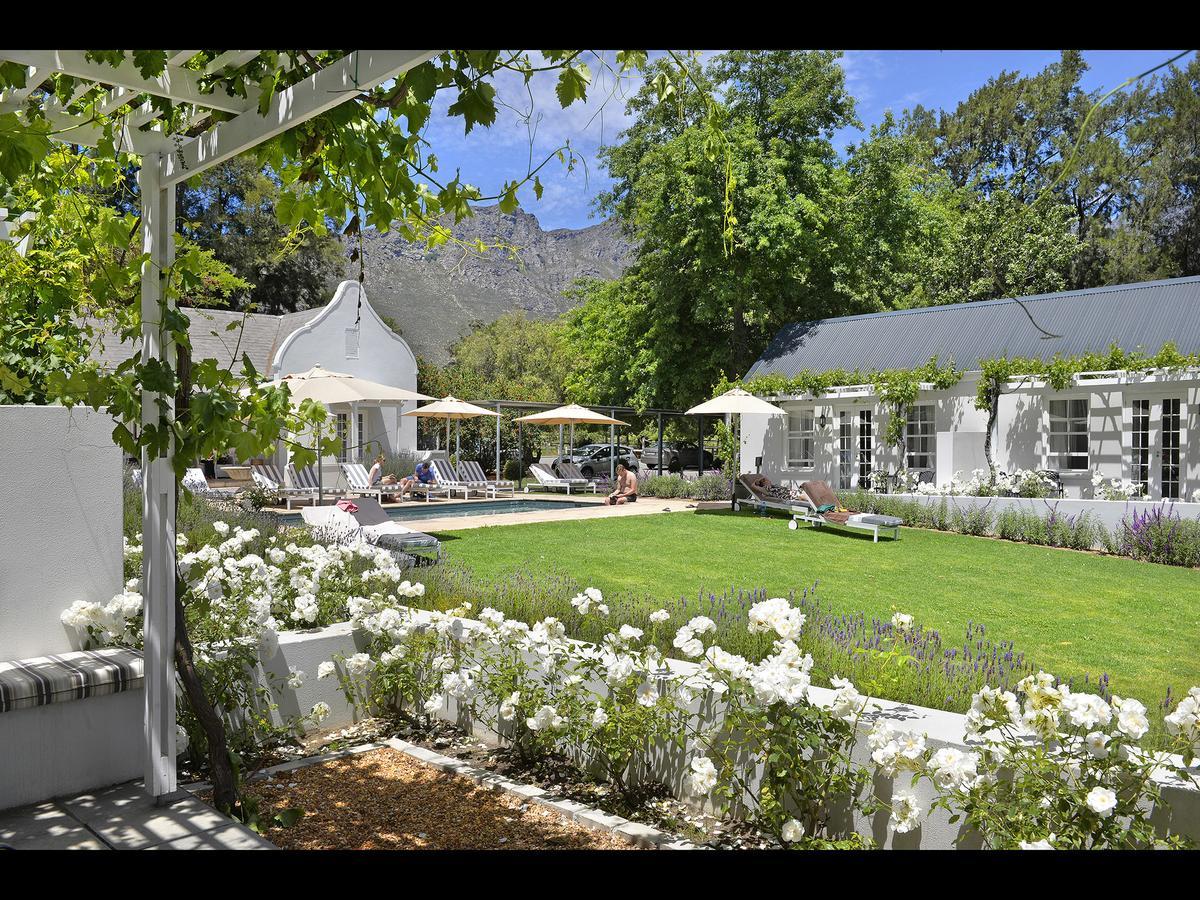 Lavender Farm Guest House Franschhoek Kültér fotó