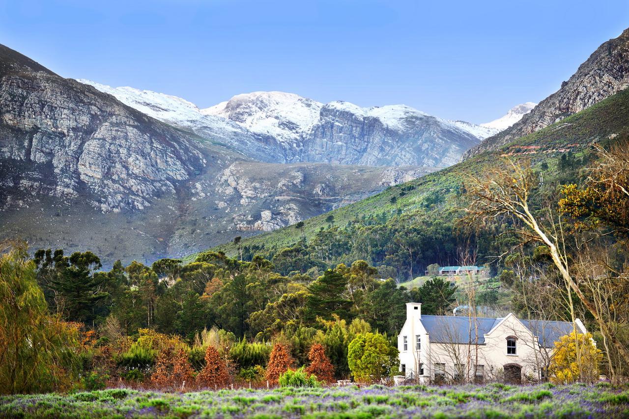 Lavender Farm Guest House Franschhoek Kültér fotó