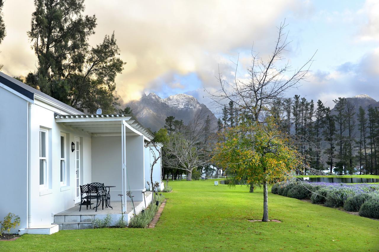 Lavender Farm Guest House Franschhoek Kültér fotó