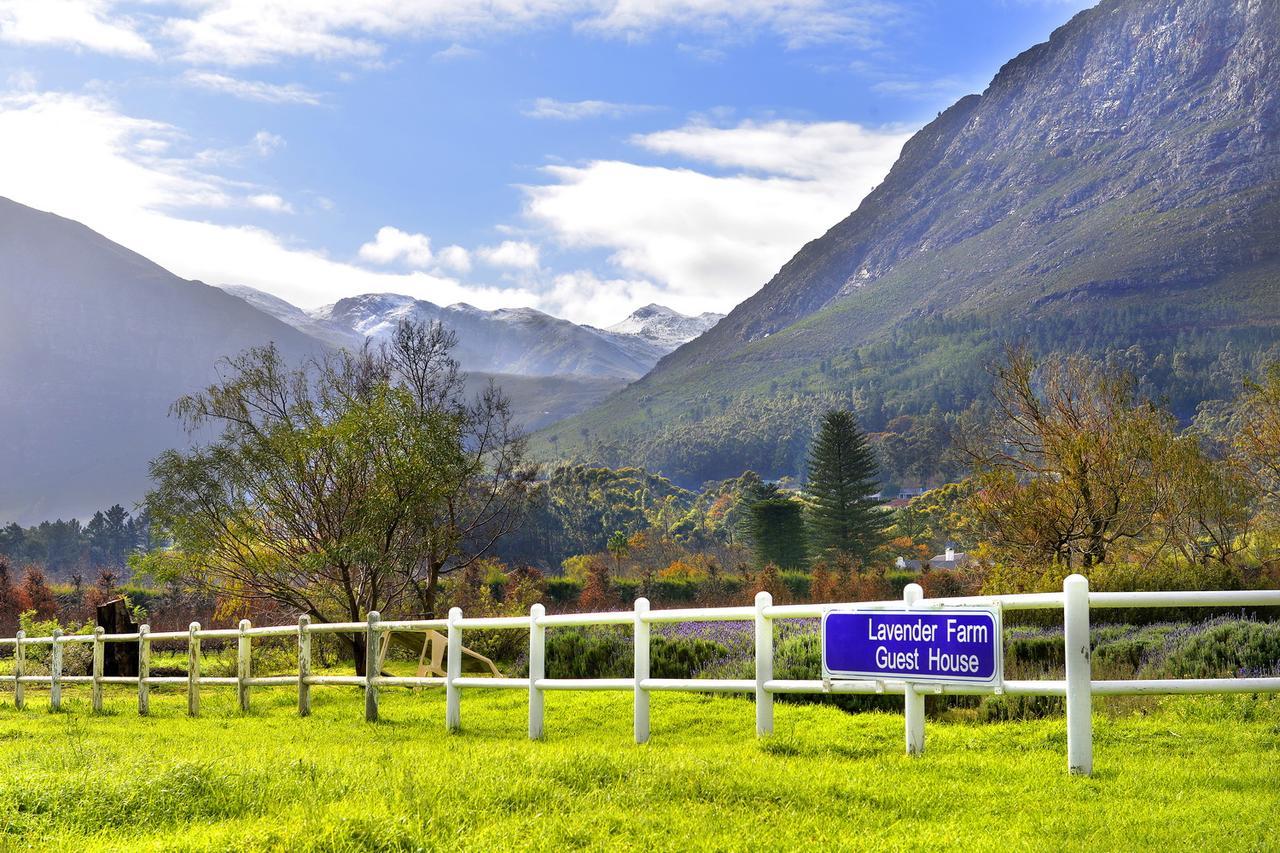 Lavender Farm Guest House Franschhoek Kültér fotó