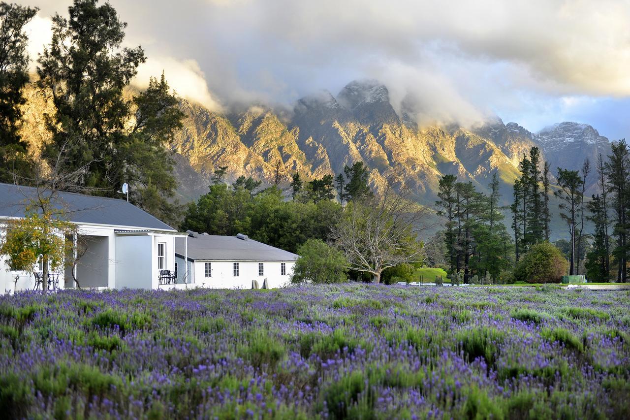 Lavender Farm Guest House Franschhoek Kültér fotó