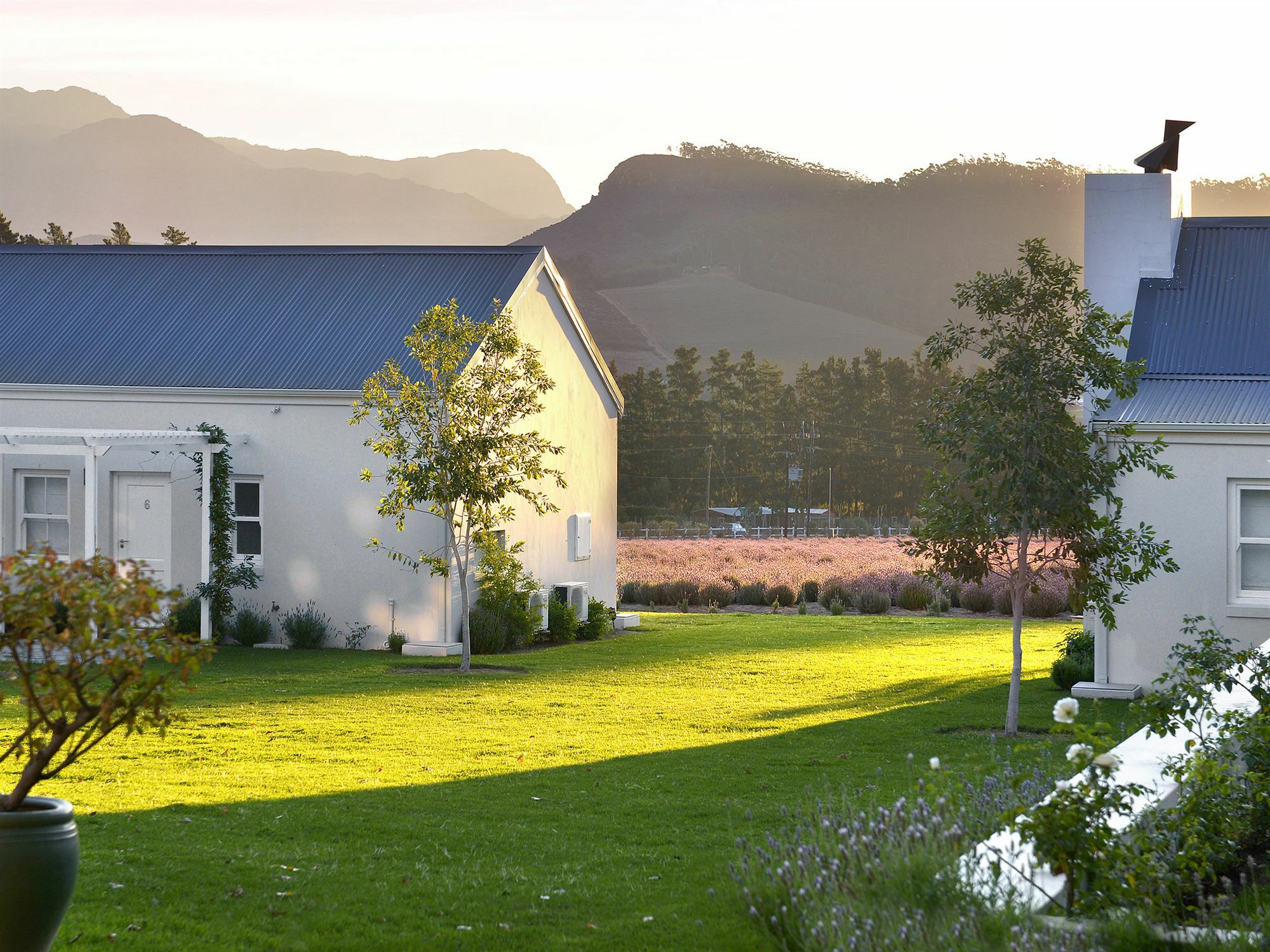 Lavender Farm Guest House Franschhoek Kültér fotó