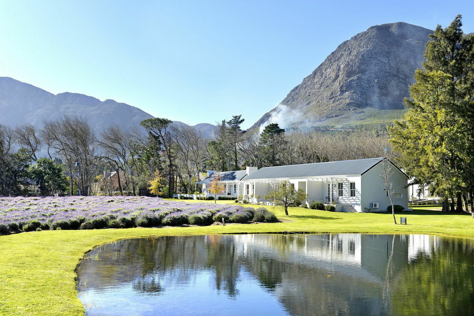 Lavender Farm Guest House Franschhoek Kültér fotó